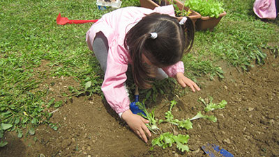 Scuola dell'Infanzia di San Miniato